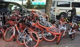 进口自行车爆料视频最新,最新爆料视频深度解析